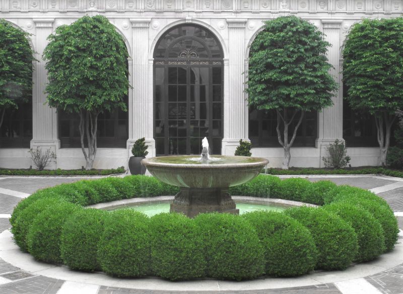 Courtyard Landscaping