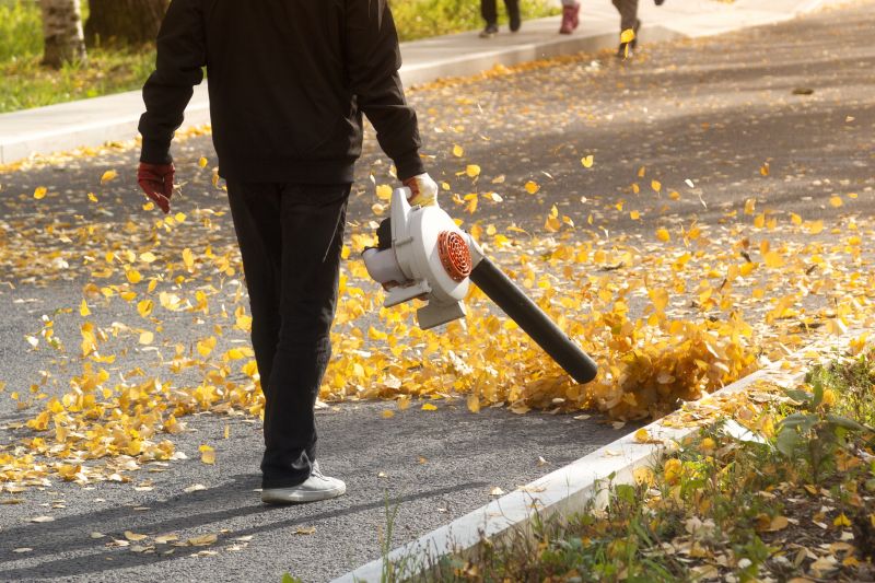 Leaf Blowing Techniques