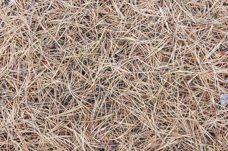 Pine Bark Mulch Installation