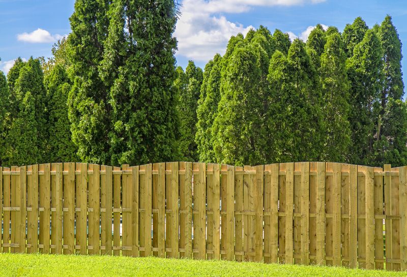 Privacy Hedge Installation