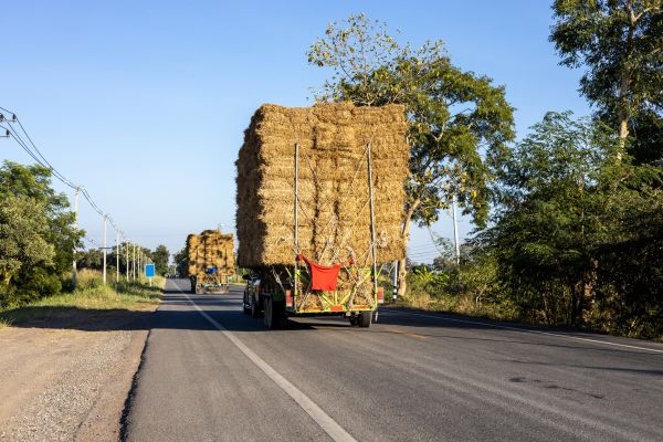 Pine Straw Delivery in Gilroy