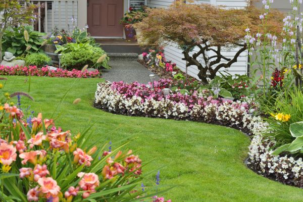 Perennial Landscaping in Gilroy