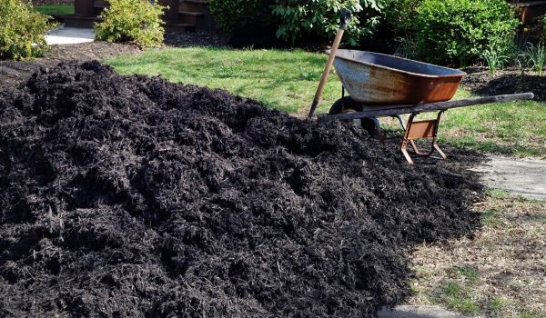 Black Mulch Installation in Gilroy