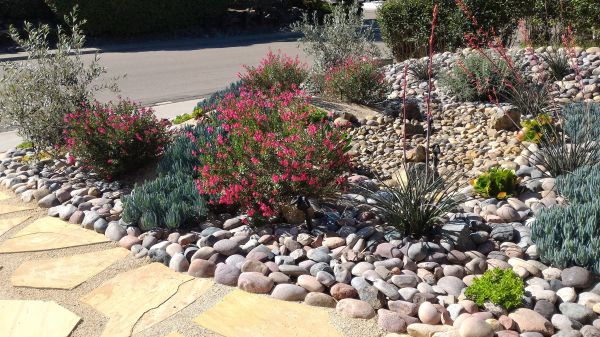 Xeriscape Landscaping in Gilroy