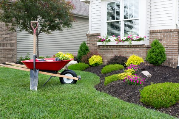 Tree And Shrub Planting in Gilroy