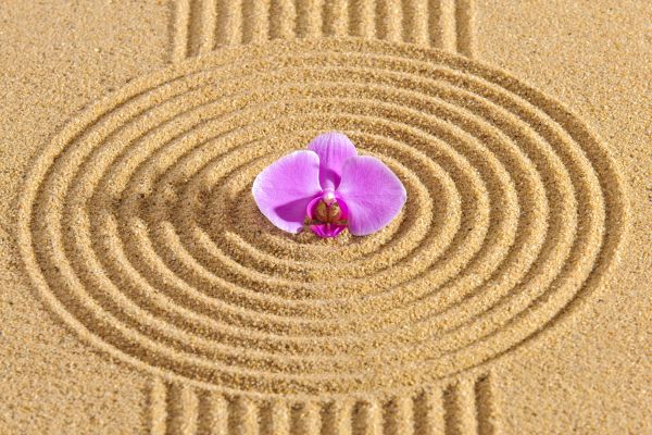 Sand Garden Landscaping in Gilroy