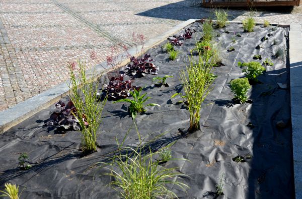 Landscape Fabric Installation in Gilroy
