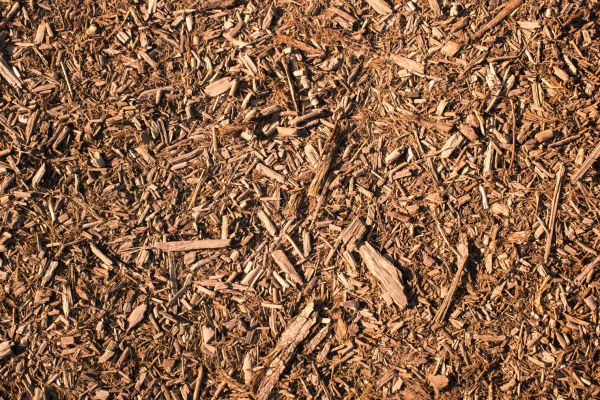 Wood Chips Removal in Gilroy