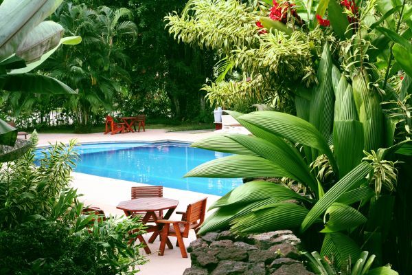 Pool Area Landscaping in Gilroy