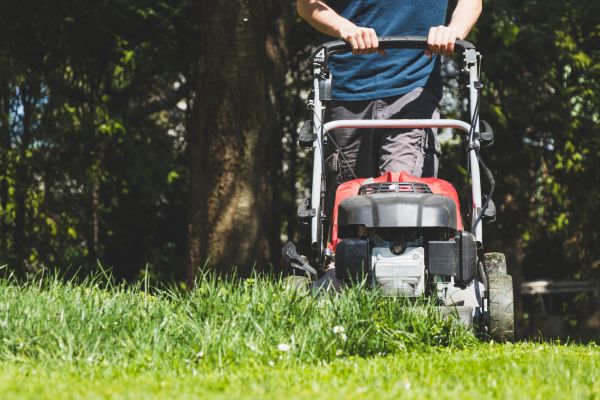 Garden Trimming Service in Gilroy