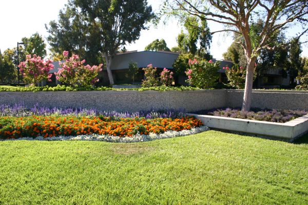 Commercial Landscape Service in Gilroy