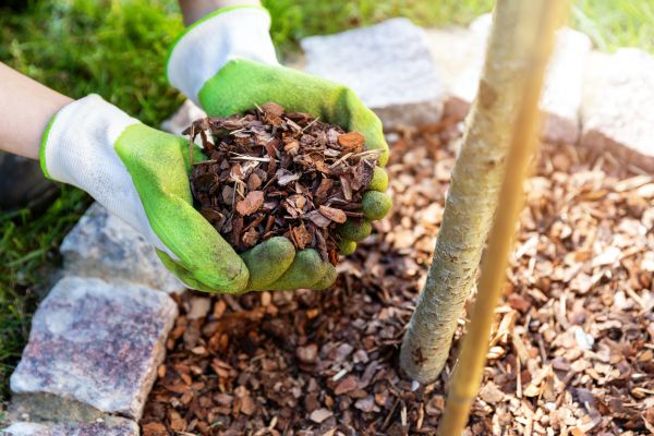 Tree Bark Delivery in Gilroy