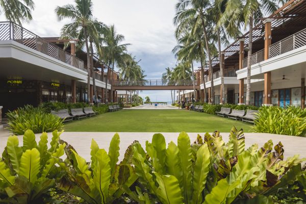 Commercial Lawn Renovation in Gilroy