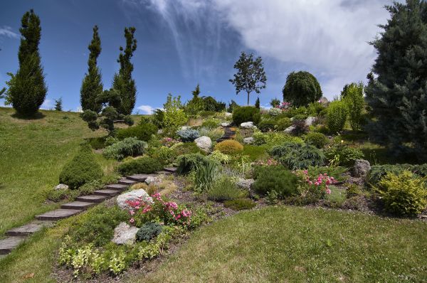 Steep Terrain Landscaping in Gilroy