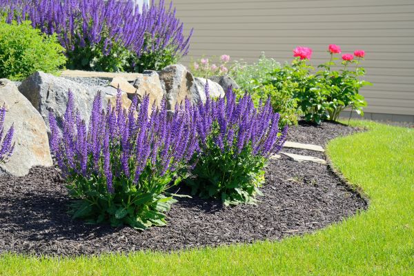 Landscape Planting Service in Gilroy