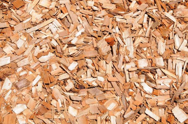 Cypress Mulch Spreading in Gilroy