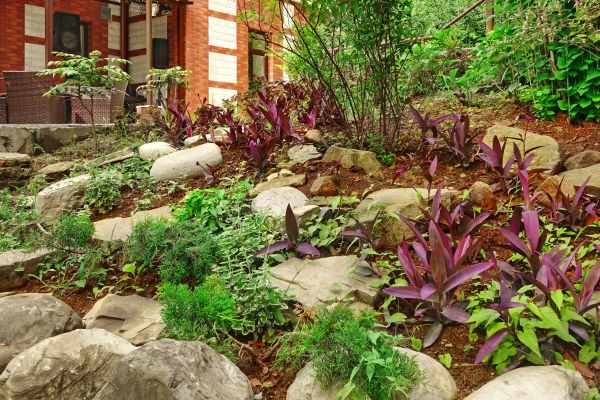 Rock Garden Landscaping in Gilroy